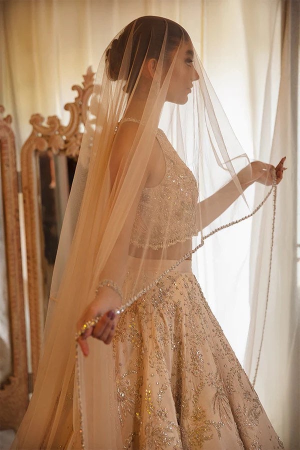 Nude Blush Lehenga Choli
