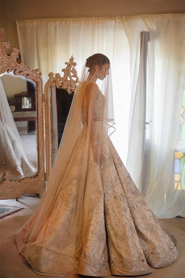 Nude Blush Lehenga Choli