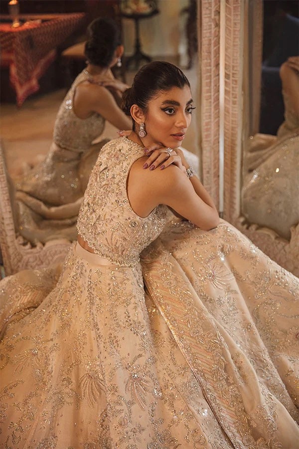 Nude Blush Lehenga Choli