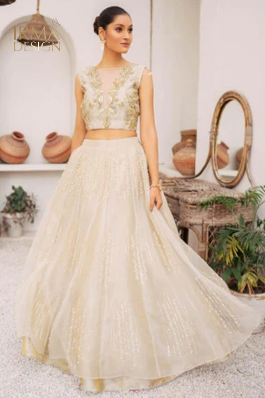 Organza Lehenga Choli