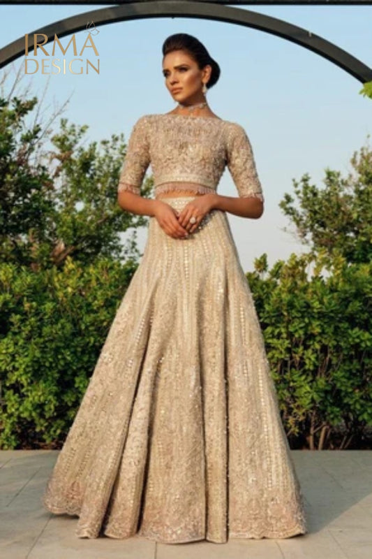 Pakistani Organza Dress