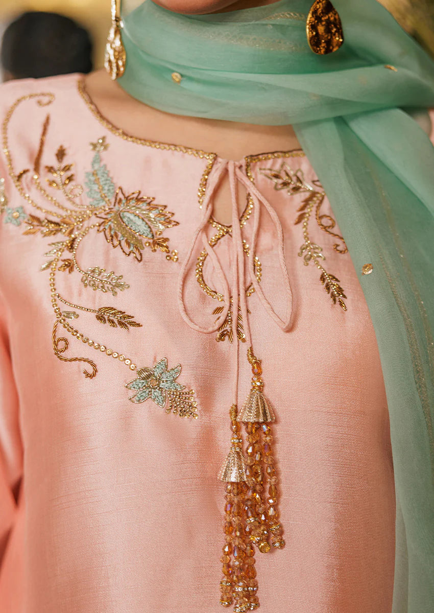 Gulabo Farshi Shalwar