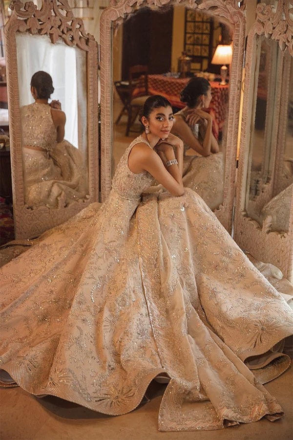 Nude Blush Lehenga Choli